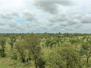 21 ha Farm in Cullinan