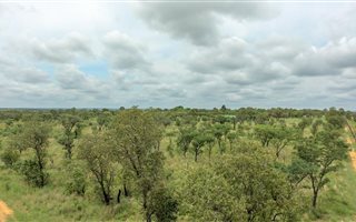 21 ha Farm in Cullinan