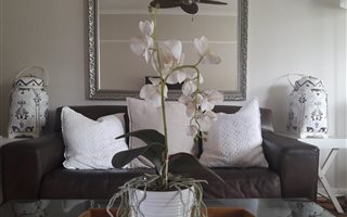 1.5 Bedroom Apartment in Morningside