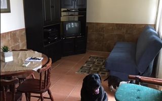 0.5 Bedroom Garden Cottage in Freeland Park