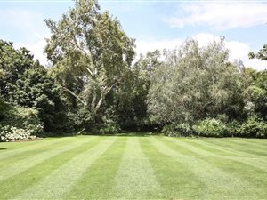 1634 m² Land available in Inanda