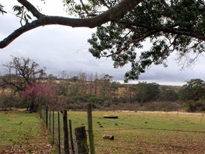 202 ha Farm in East London Central