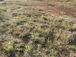 365 m² Land available in Northam