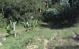 1904 m² Land available in Crestview