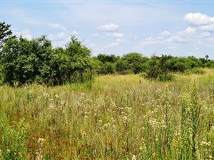 5.2 ha Land available in Grootvlei AH