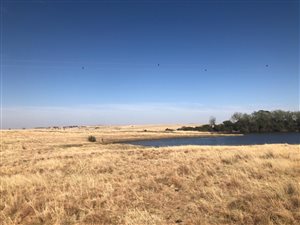 670 ha Farm in Senekal
