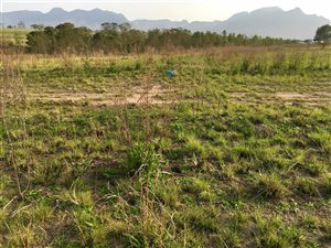 4919 m² Land available in Pacaltsdorp