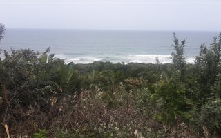 2161 m² Land available in Trafalgar