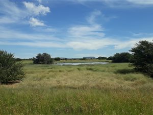 351 ha Farm in Bloemfontein Rural