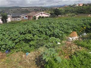 467 m² Land available in Imbali