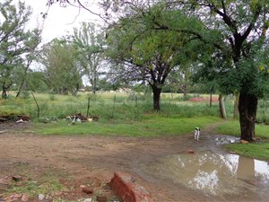 3.9 ha Farm in Bloemspruit