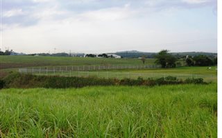 180 ha Farm in Shakas Rock