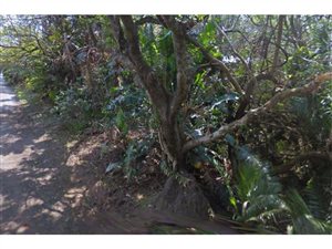 1219 m² Land available in Leisure Bay