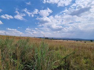 27 ha Land available in Mooiplaats AH