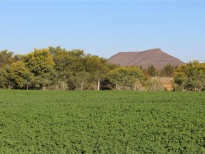 7342 ha Farm in Laingsburg