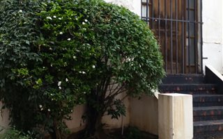 250 m² Office Space in Rosettenville