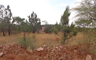 973 m² Land available in Kameeldrift East
