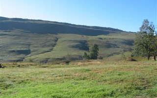 5.5 ha Farm in Underberg