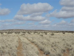 9058 ha Farm in Loeriesfontein