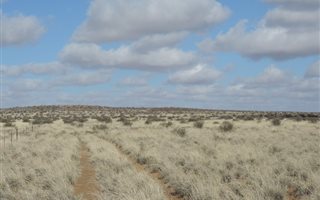 9058 ha Farm in Loeriesfontein
