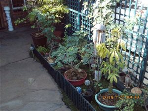 2 Bed Simplex in Lincoln Meade