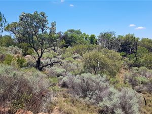 950 m² Land available in Roodeplaat
