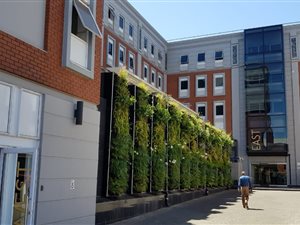 1110.18005371094 m² Office Space in Rosebank