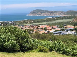 536 m² Land available in Whale Rock