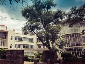 2 Bed Apartment in Rosebank