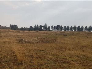 17.1 ha Land available in Bonanne