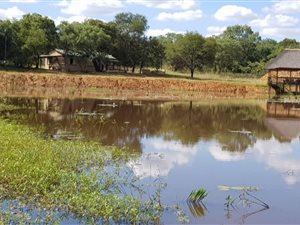 213 ha Farm in Mookgophong (Naboomspruit)