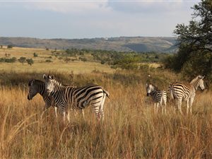 2 m² Land available in Sterkfontein and surrounds