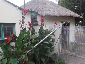 8 ha Farm in Bela-Bela (Warmbaths)