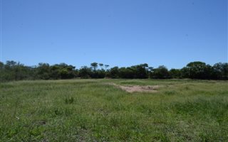 401 ha Farm in Mokopane