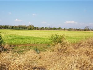 20 ha Farm in Groot Marico