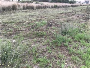 870 m² Land available in C Place
