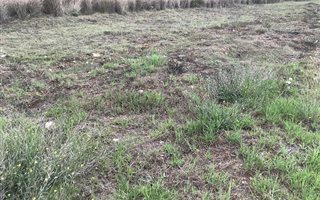 870 m² Land available in C Place