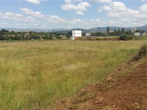 Commercial space in Willowton