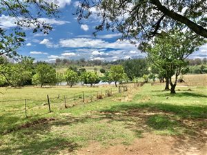 7.1 ha Farm in Ruimsig AH