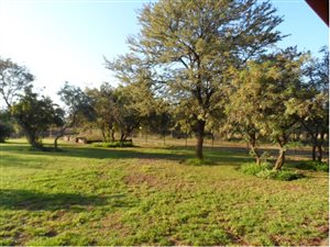 60 ha Farm in Hekpoort