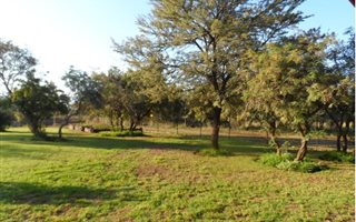 60 ha Farm in Hekpoort