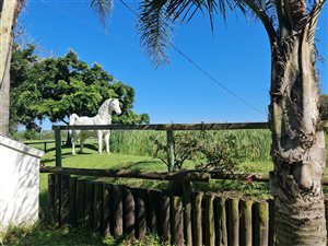 7.9 ha Farm in Gonubie
