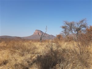 94 ha Farm in Mokopane