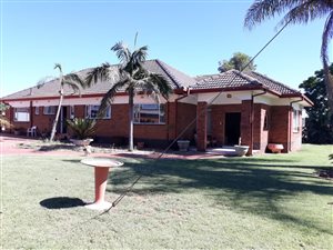 4.6 ha Farm in Derdepoort