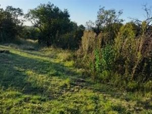 1.9 ha Land available in Strydfontein and surrounds