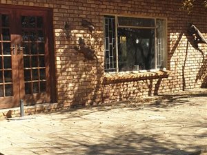 8.7 ha Farm in Bultfontein AH