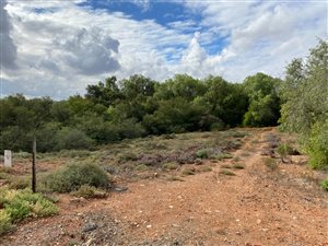 1361 m² Land available in Oudtshoorn Central