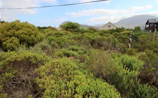600 m² Land available in Pringle Bay