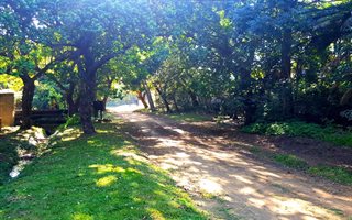 1343 m² Land available in Hibberdene