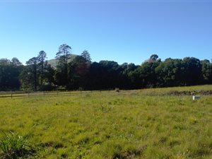 1089 m² Land available in Underberg